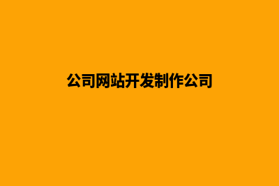 公司网站开发(公司网站开发制作公司)