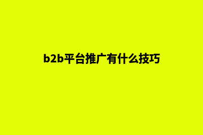 b2b网站怎么做推广(b2b平台推广有什么技巧)