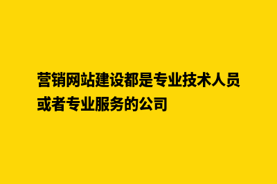 营销网站建设(营销网站建设都是专业技术人员或者专业服务的公司)