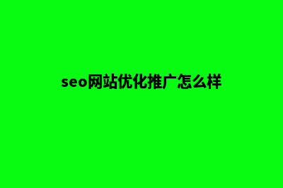 seo网站推广优化(seo网站优化推广怎么样)