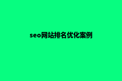 seo优化网站排名(seo网站排名优化案例)