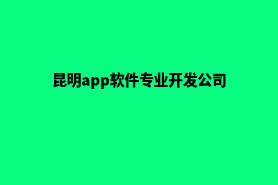 昆明app软件开发公司(昆明app软件专业开发公司)