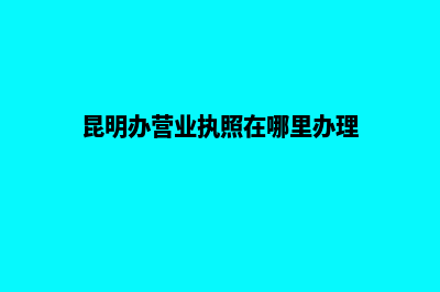 昆明办营业执照去哪办(昆明办营业执照在哪里办理)