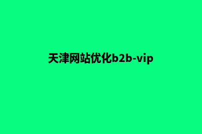 天津网站优化(天津网站优化b2b-vip)