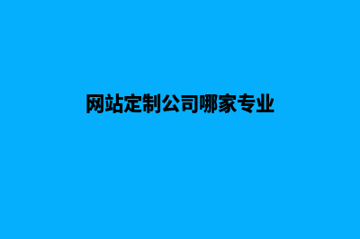 哪家网站定制好做(网站定制公司哪家专业)