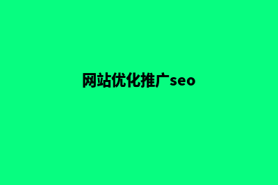 网站推广优化外包(网站优化推广seo)