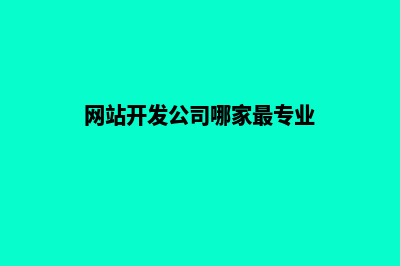 网站制作开发公司(网站开发公司哪家最专业)