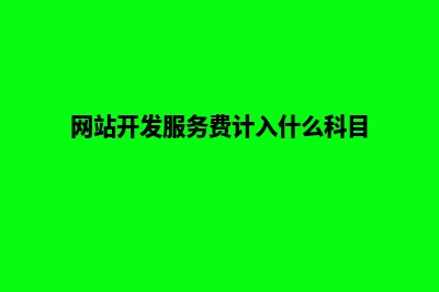 网站开发服务(网站开发服务费计入什么科目)