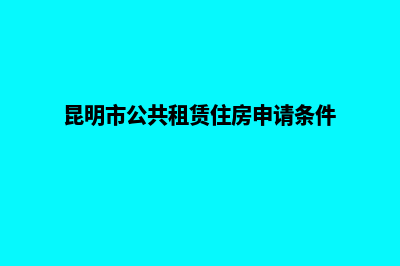 昆明如何建立公司网站(昆明市公共租赁住房申请条件)