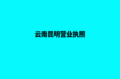 昆明公司营业执照注销(云南昆明营业执照)