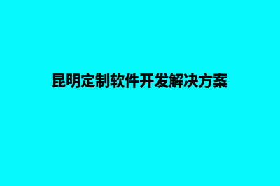 昆明网站定制开发服务(昆明定制软件开发解决方案)