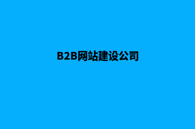 b2b网站建设(B2B网站建设公司)