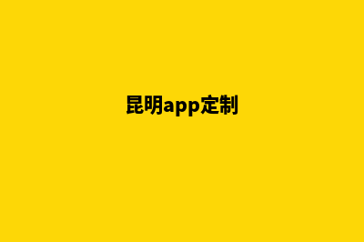 昆明网站定制方案(昆明app定制)