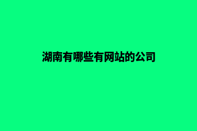 湖南网站制作公司(湖南有哪些有网站的公司)