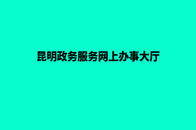 昆明政务网站建设(昆明政务服务网上办事大厅)