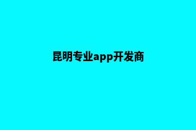 昆明专业app开发(昆明专业app开发商)