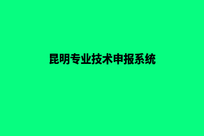 昆明专业从事网站开发公司(昆明专业技术申报系统)