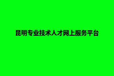 昆明专业建设网站(昆明专业技术人才网上服务平台)