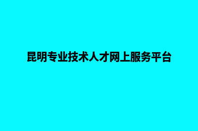 昆明专业建设网站的公司(昆明专业技术人才网上服务平台)