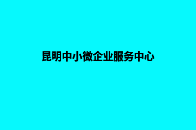 昆明中小网站建设公司电话(昆明中小微企业服务中心)