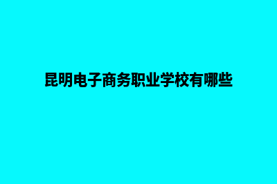 昆明电子商务网站开发费用(昆明电子商务职业学校有哪些)