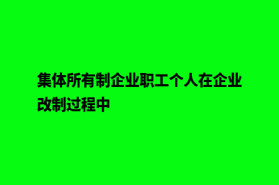 集体所有制企业(集体所有制企业职工个人在企业改制过程中)