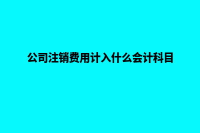 公司注销费用(公司注销费用计入什么会计科目)