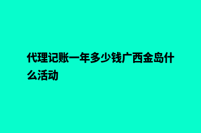 代理记账一年多少钱(代理记账一年多少钱广西金岛什么活动)