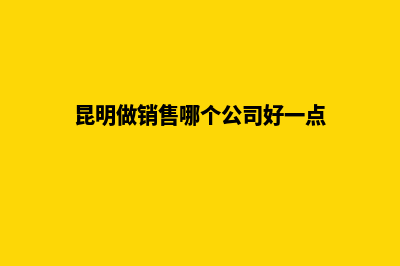 昆明做分销网站(昆明做销售哪个公司好一点)