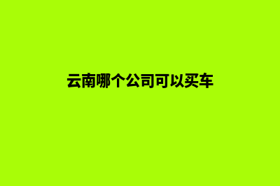 云南哪个公司可以建网站(云南哪个公司可以买车)