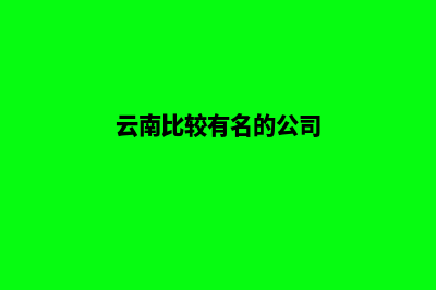 云南哪个公司做网站重做好(云南比较有名的公司)