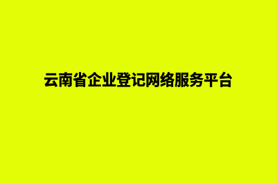 云南企业网页制作公司价格(云南省企业登记网络服务平台)