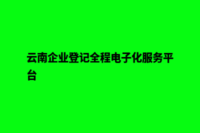 云南企业网页制作流程(云南企业登记全程电子化服务平台)