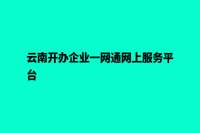 云南企业网站开发方案(云南开办企业一网通网上服务平台)