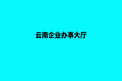 云南企业网站重做(云南企业办事大厅)