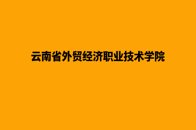 云南外贸建网站推广(云南省外贸经济职业技术学院)