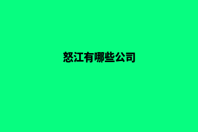 怒江企业网站建设报价(怒江有哪些公司)