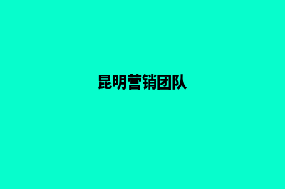 昆明开发营销型网站公司(昆明营销团队)