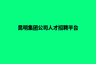 昆明集团网页设计费用(昆明集团公司人才招聘平台)