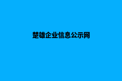 楚雄公司网站制作方案(楚雄企业信息公示网)