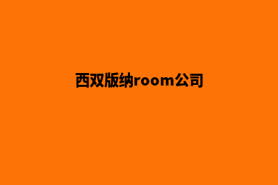 西双版纳公司网站制作价格(西双版纳room公司)