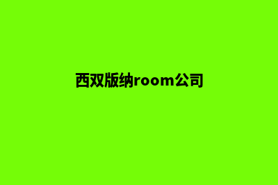 西双版纳公司网页设计哪家好(西双版纳room公司)