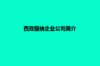 西双版纳公司网页制作流程(西双版纳企业公司简介)