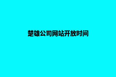 楚雄公司网站开发步骤(楚雄公司网站开放时间)