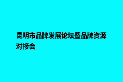 昆明品牌企业网站开发(昆明市品牌发展论坛暨品牌资源对接会)