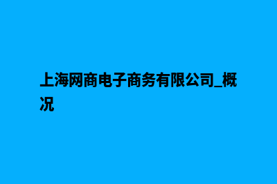 上海电商网站制作费用(上海网商电子商务有限公司 概况)