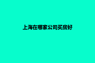 上海在哪家公司建设网站好(上海在哪家公司买房好)