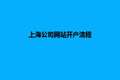 上海公司网站开发方案(上海公司网站开户流程)