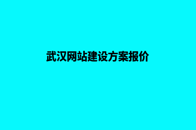 武汉网站建设的流程(武汉网站建设方案报价)