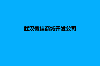 武汉微信网站建设哪家好(武汉微信商城开发公司)